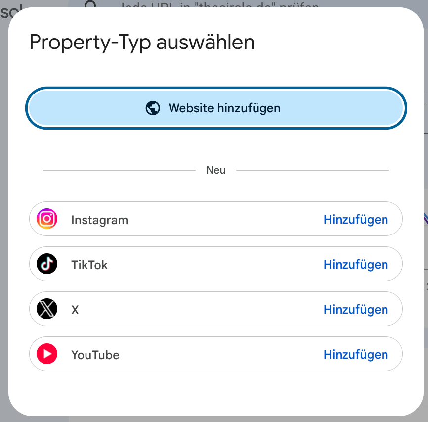 Dialog Property-Typ auswählen in der Google Search Console mit den neuen Optionen Instagram, TikTok, X und YouTube